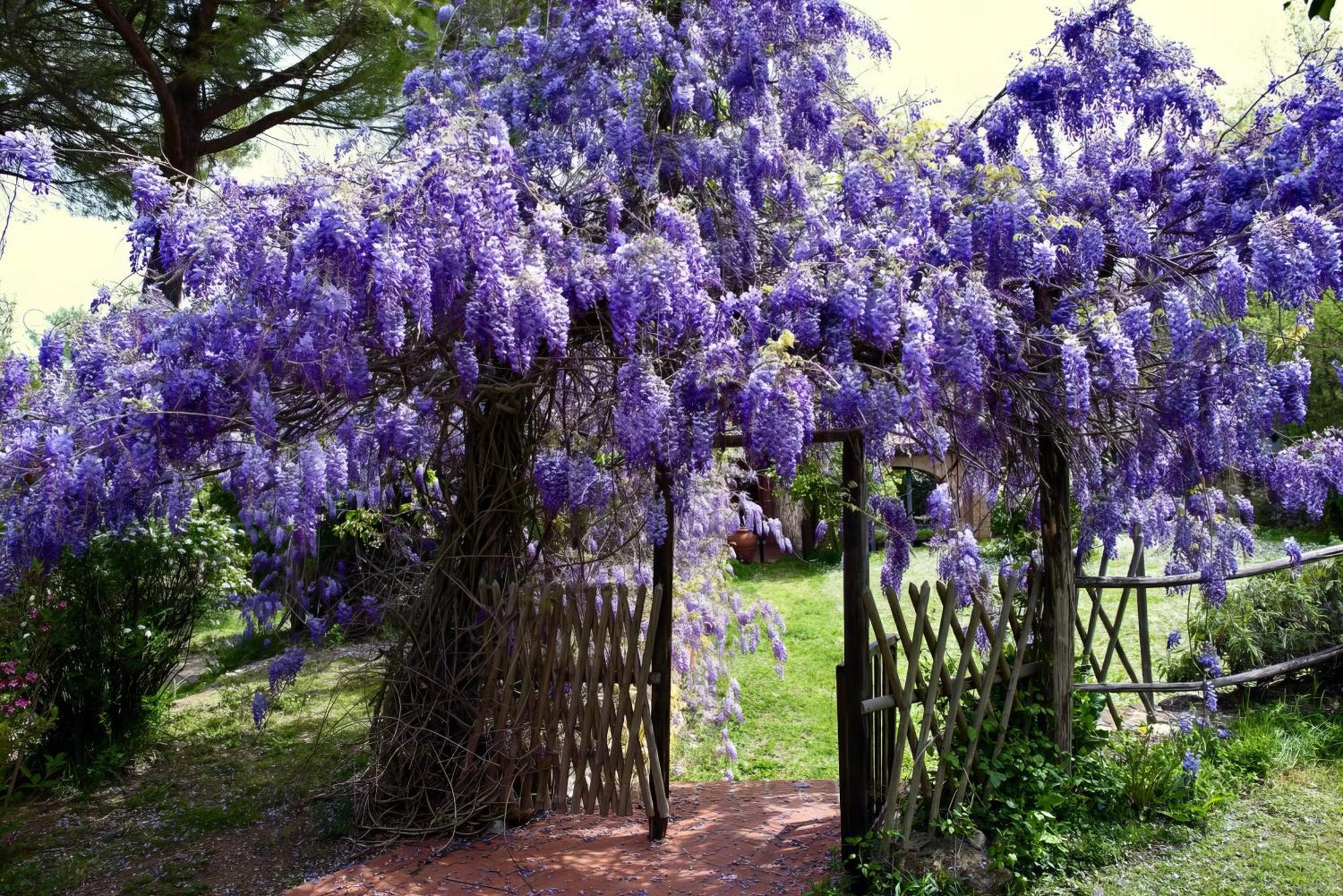 Molino In Chianti Villa Mercatale Val Di Pesa Bagian luar foto
