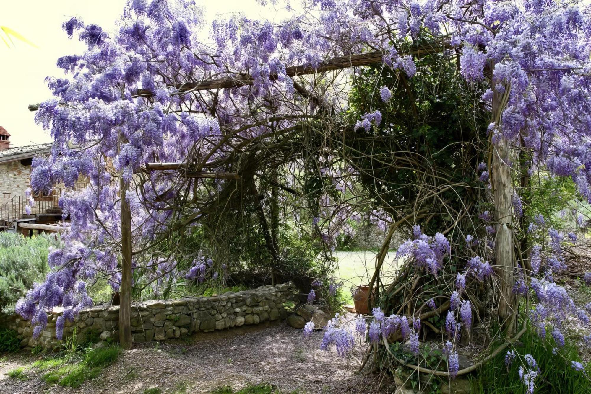 Molino In Chianti Villa Mercatale Val Di Pesa Bagian luar foto